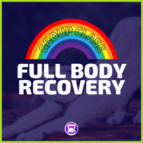 Full Body Recovery - Rainbow Cat background with Text 'Online Class'