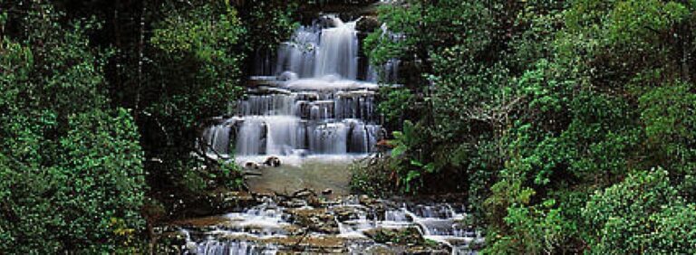 A pixelated waterfall - Masons Falls