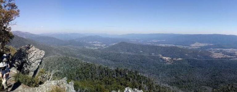 A wide shot of rolling hills with lots of trees