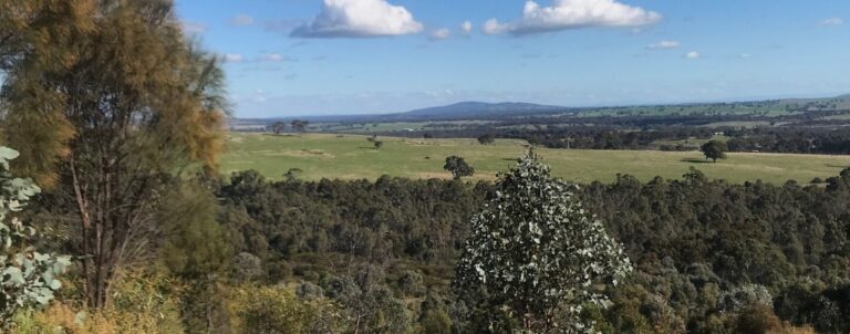 Various trees in the foreground with farmland behind