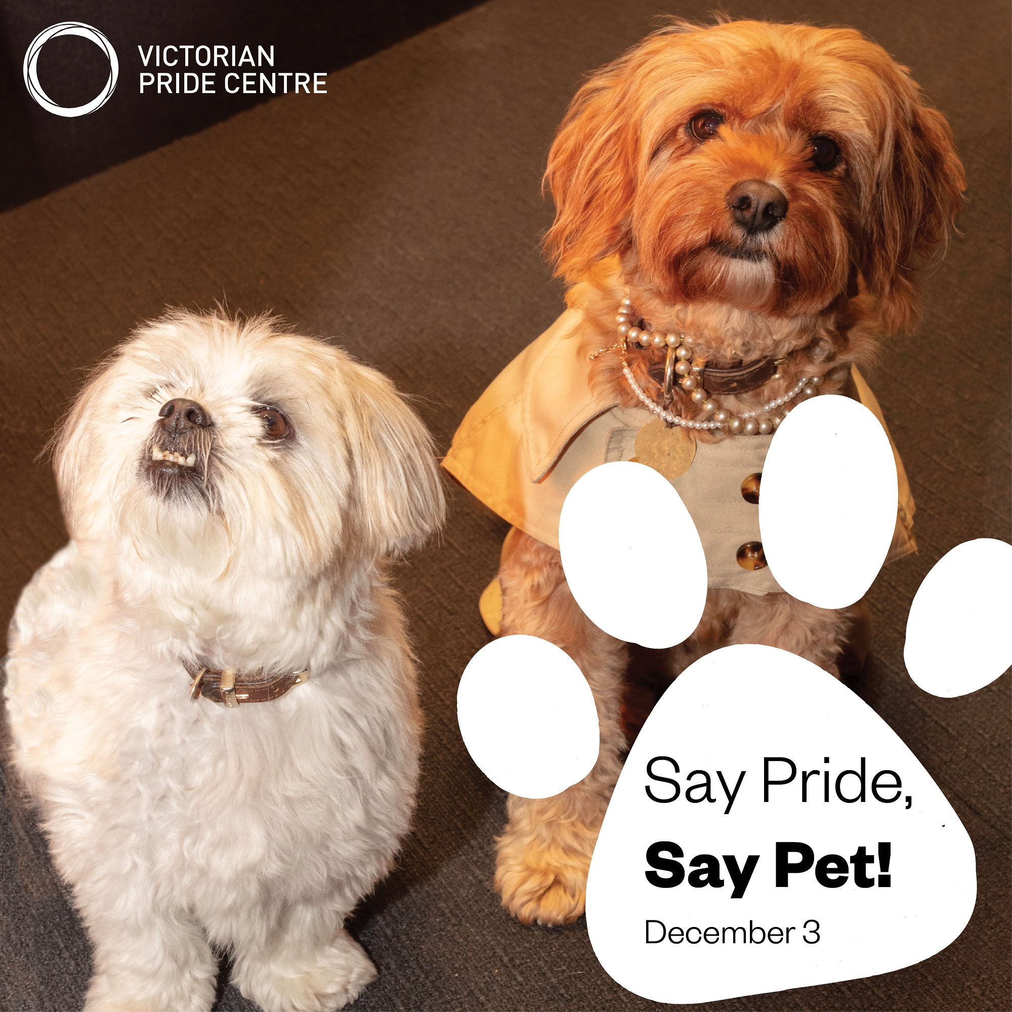 Say Pride, Say Pet!’ poster with two small white dogs, a date, and the VPC trademark in the corner.