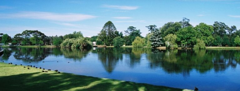 A wide shot of a large lake with trees and birds surrounding it