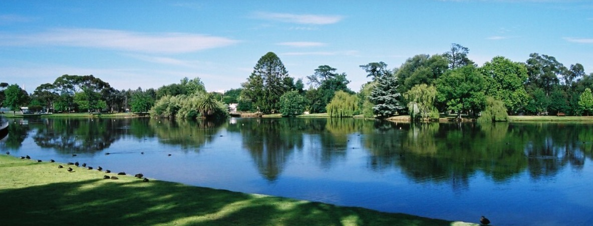 A wide shot of a large lake with trees and birds surrounding it