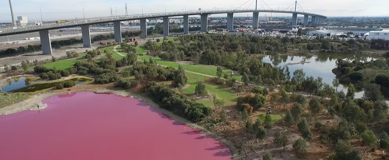 A long shot of the Pink Lake and surrounds at Westgate park