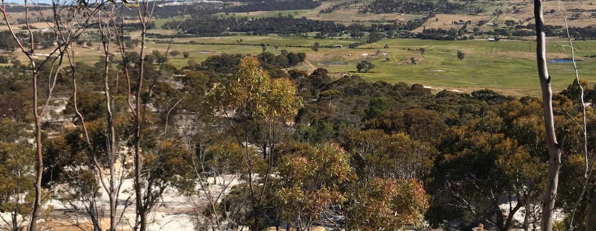 A landscape shot of farmland and trees. The shrubbery looks dry.