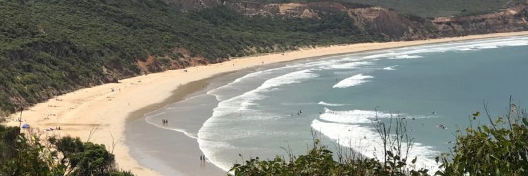 A long shot of a wide and expansive beach with bushland behind.