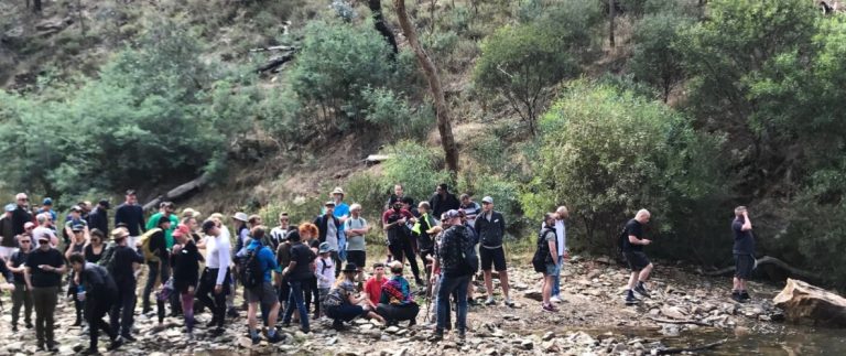 a large group of people stand in the bush, on rocks, next to a creek