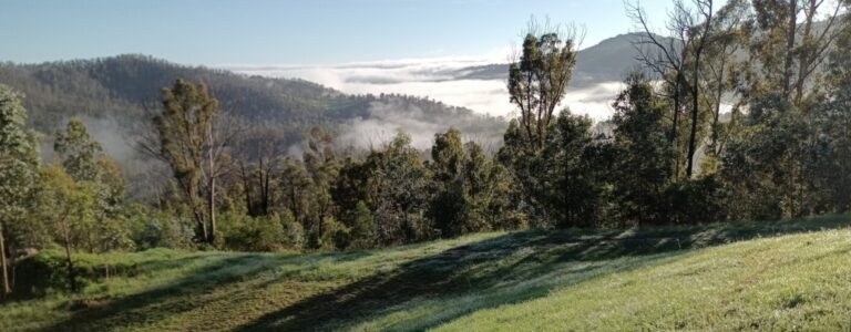 A gorgeous landscape encompassing rolling mountains, fog and trees