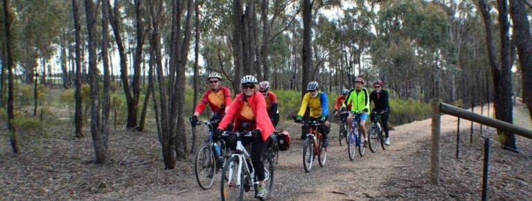 7 people ride bicycles on a dirt track surrounded by trees