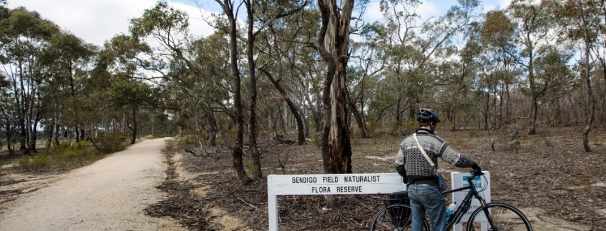 Photograph of 'Bendigo Field Naturalist Flora Reserve' featuring a cyclist beside a gravel trail