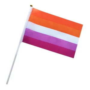 Handheld Small Lesbian Flag