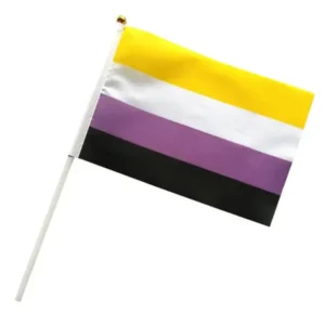 Handheld small non-binary flag