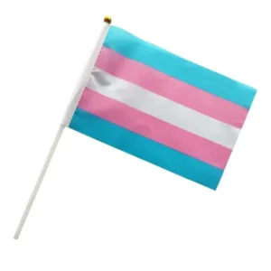 Handheld small transgender flag