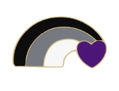 Rainbow badge in the asexual flag colours with a heart in the corner