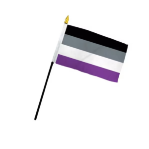 Small Asexual Flag