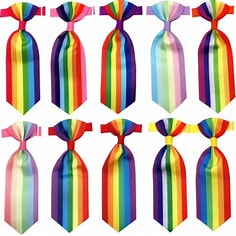 Assorted rainbow puppy ties laid out in two parallel rows