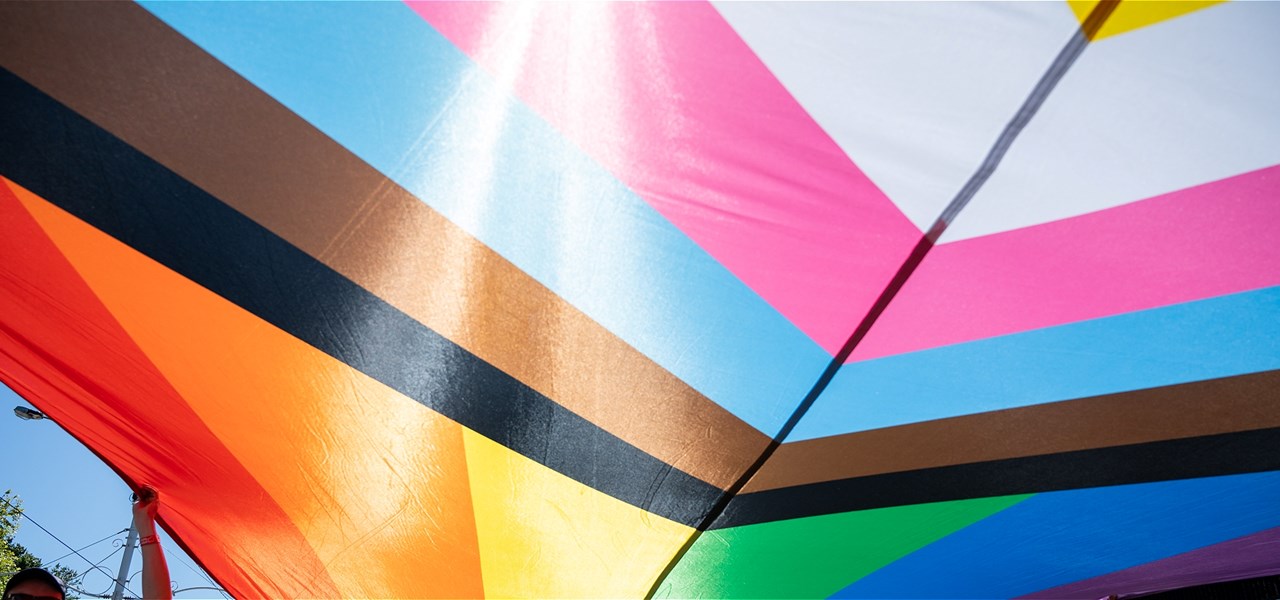 image of progress flag close up